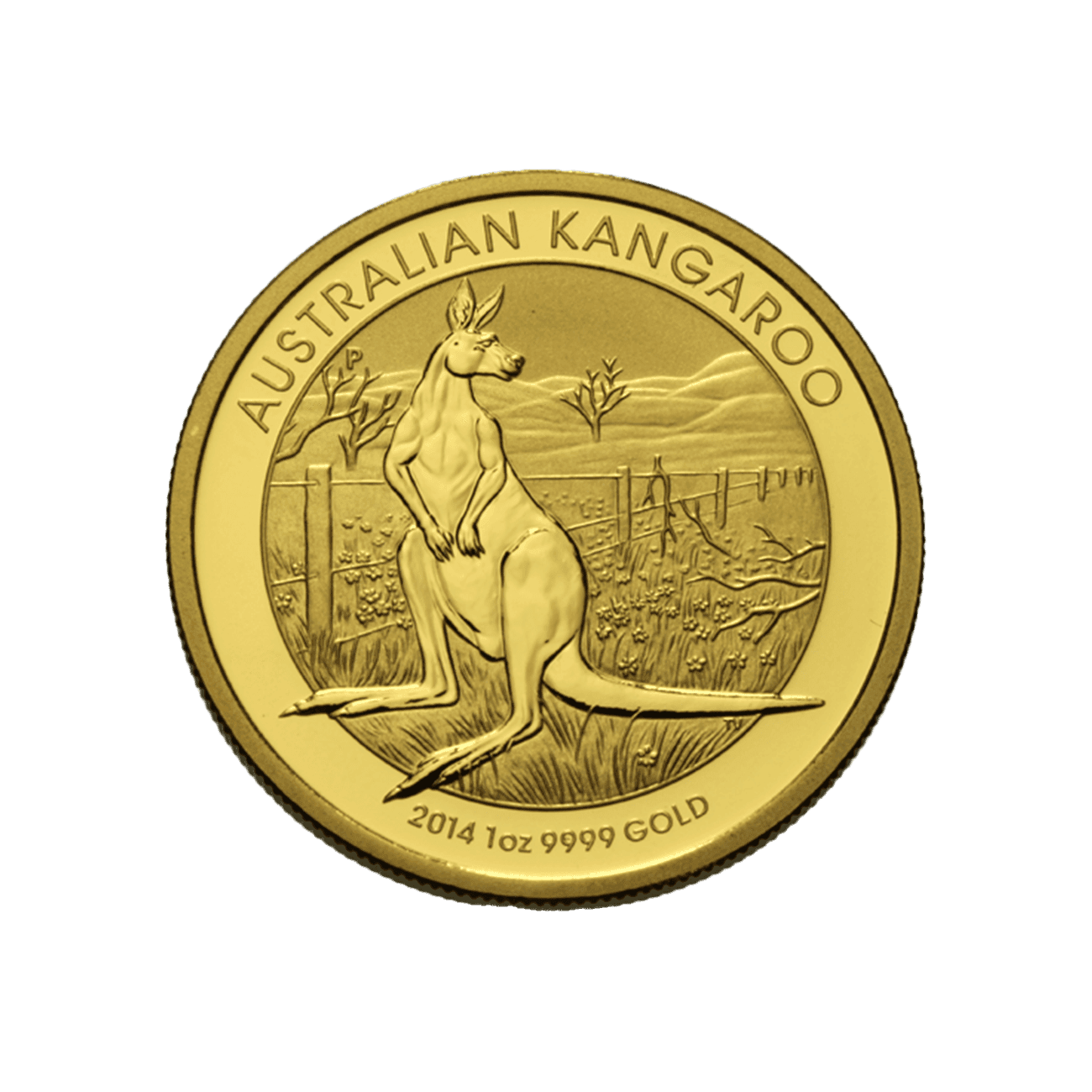 100 Dollars "Australian Kangaroo"