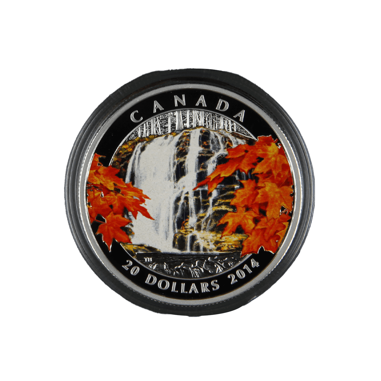 20 Dollar "Autumn Falls - Energy"